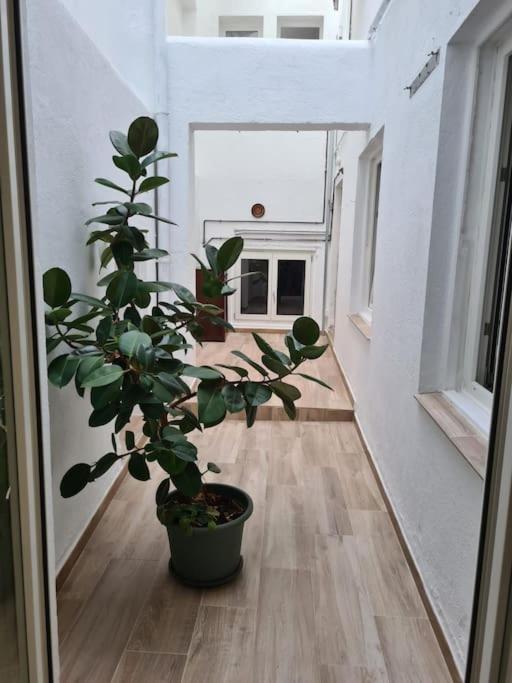 Ferienwohnung Apartamento Centrico Pontevedra Exterior foto